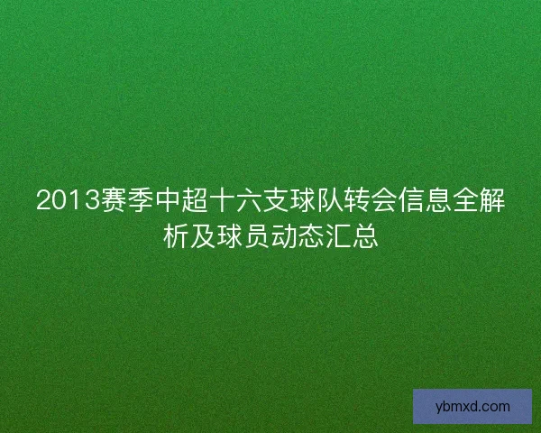 2013赛季中超十六支球队转会信息全解析及球员动态汇总