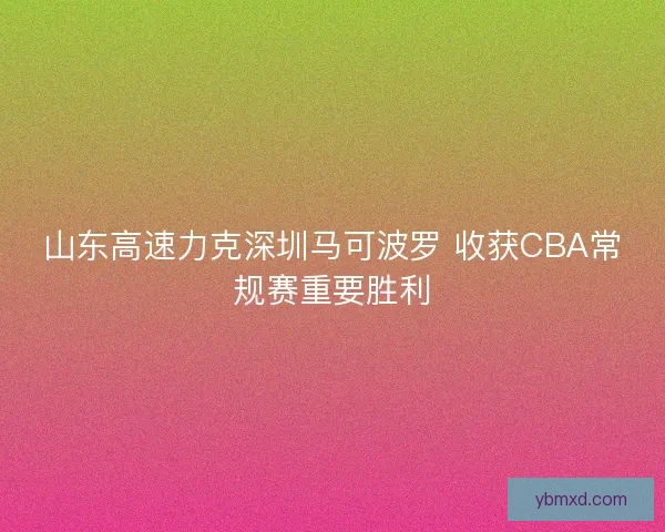 山东高速力克深圳马可波罗 收获CBA常规赛重要胜利